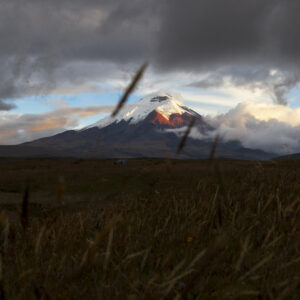 Photo Landscape Print