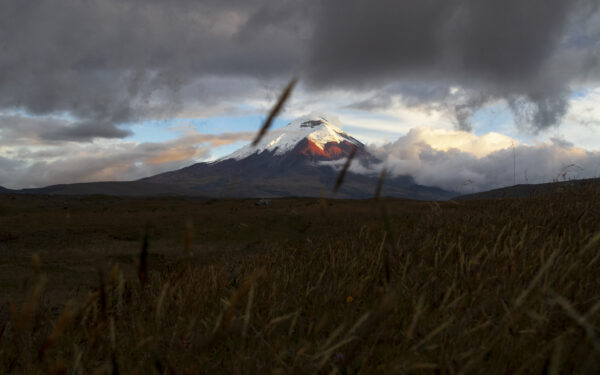 Photo Landscape Print