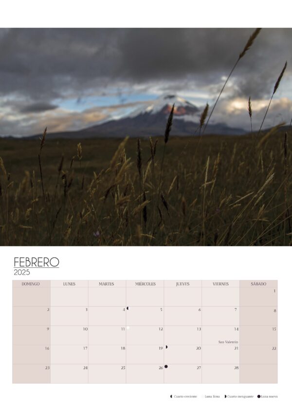 Wall Calendar 2025 - Image 2