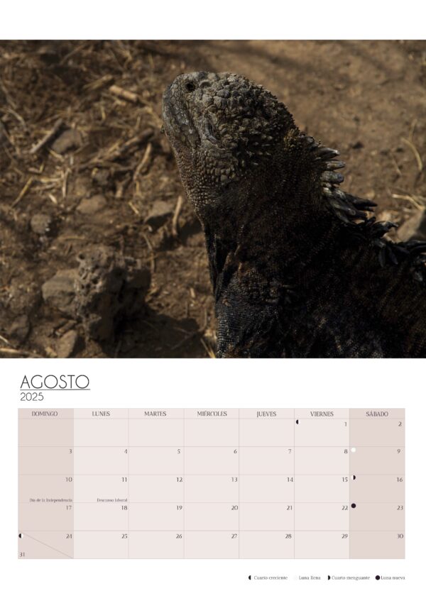 Wall Calendar 2025 - Image 8