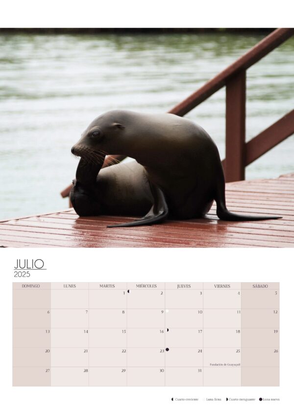 Wall Calendar 2025 - Image 7