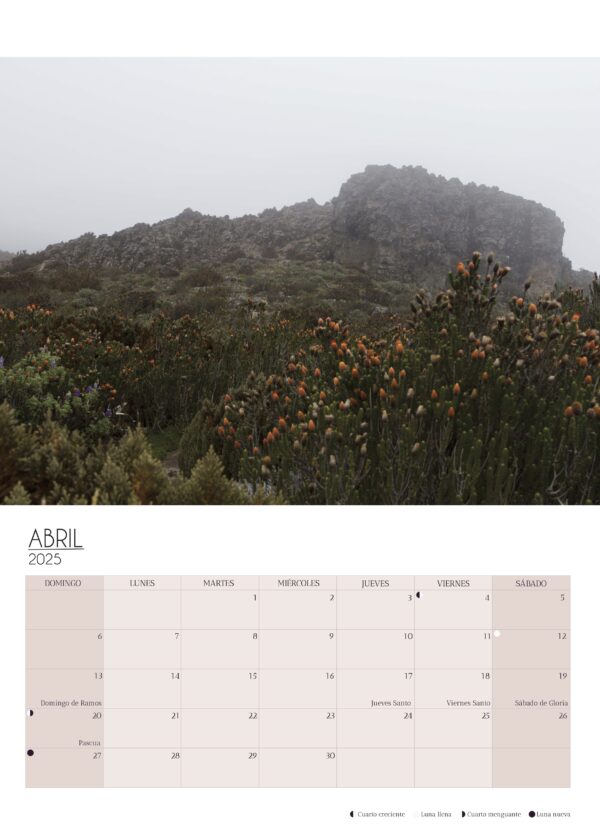 Wall Calendar 2025 - Image 4
