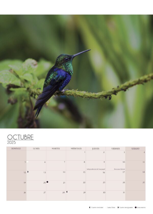 Wall Calendar 2025 - Image 10