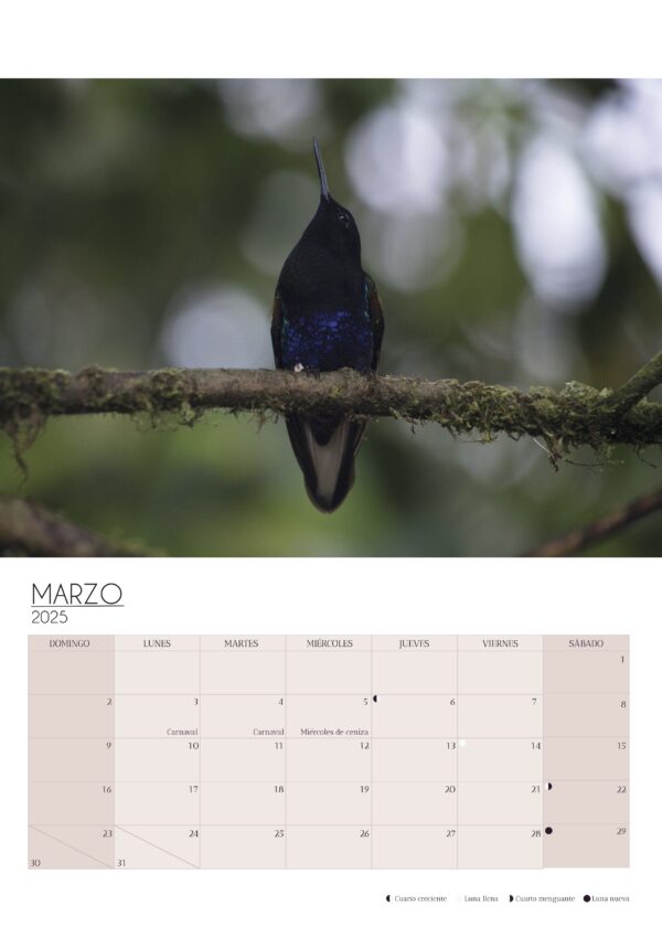 Wall Calendar 2025 - Image 3