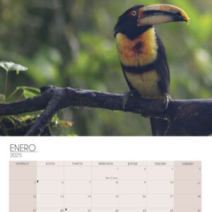 Wall Calendar 2025