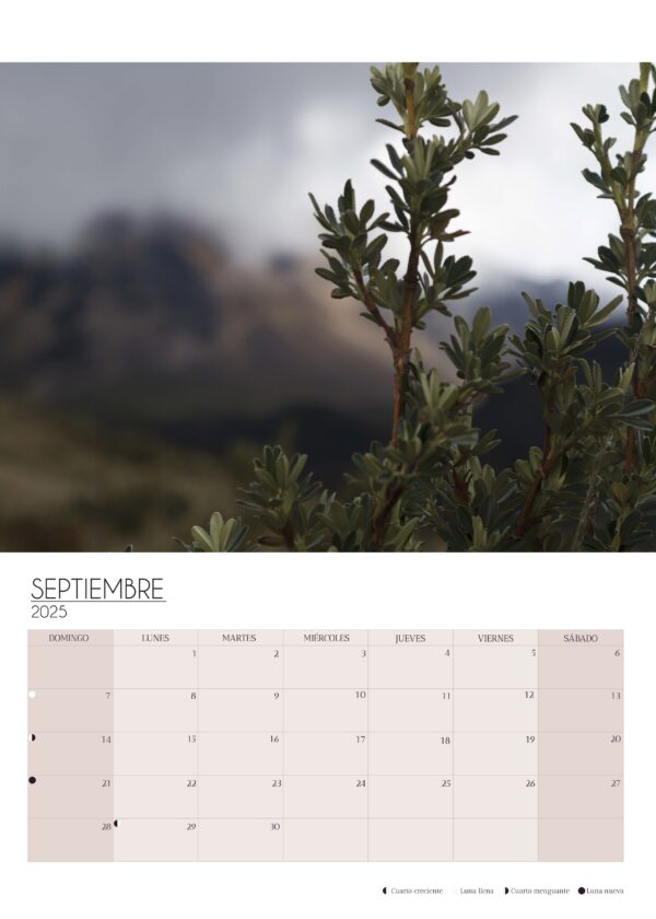 Wall Calendar 2025 - Image 9