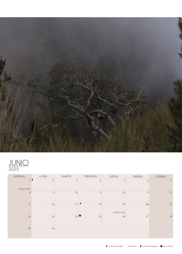 Wall Calendar 2025 - Image 6