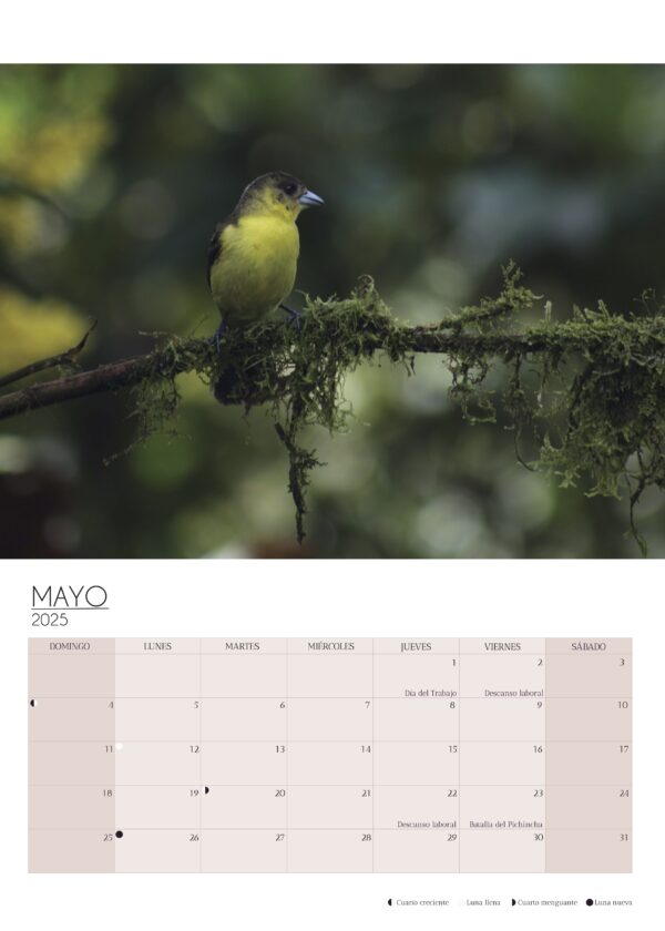 Wall Calendar 2025 - Image 5