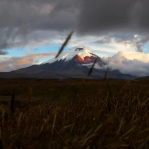 Photo Landscape Print