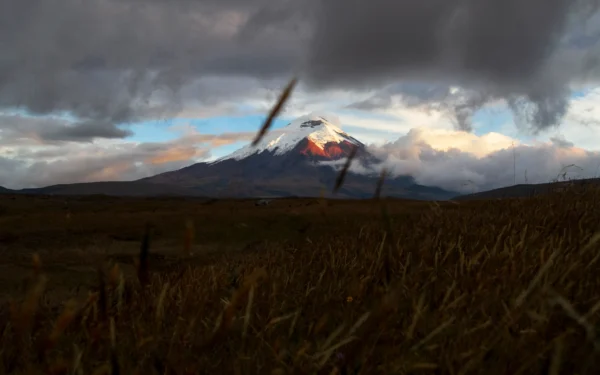 Photo Landscape Print